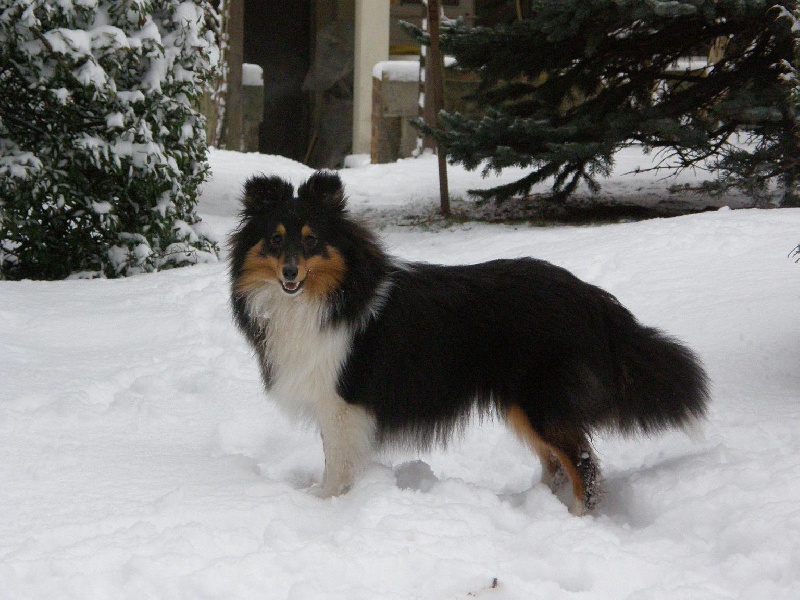 Hello fantasia black girl des Diablotins de Nooch